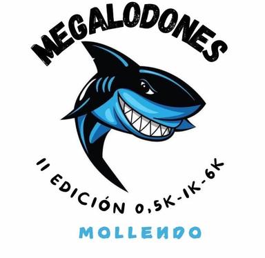 banner Los Megalodones