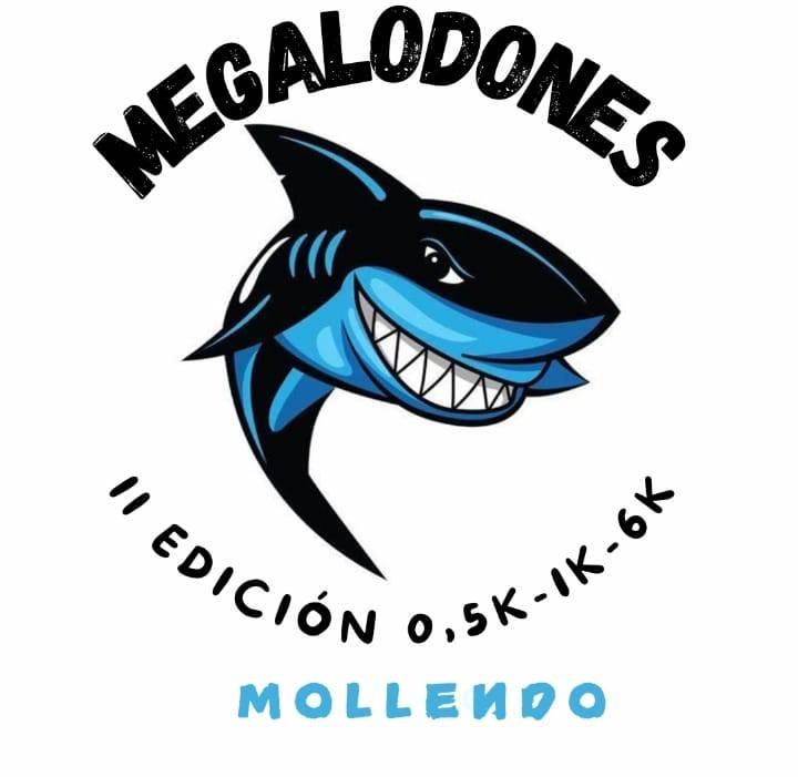 banner Los Megalodones