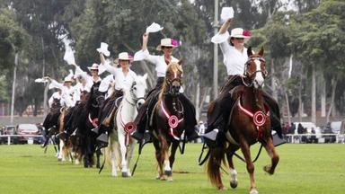 banner Prueba Funcional - Capones